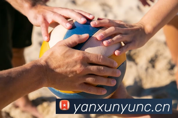 App Interface Preview